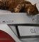 Pogledajte: Mačak potcenio aerodinamiku "mercedesa CLA"