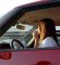 Da li su zaista žene gori vozači od muškaraca ili je to samo predrasuda?